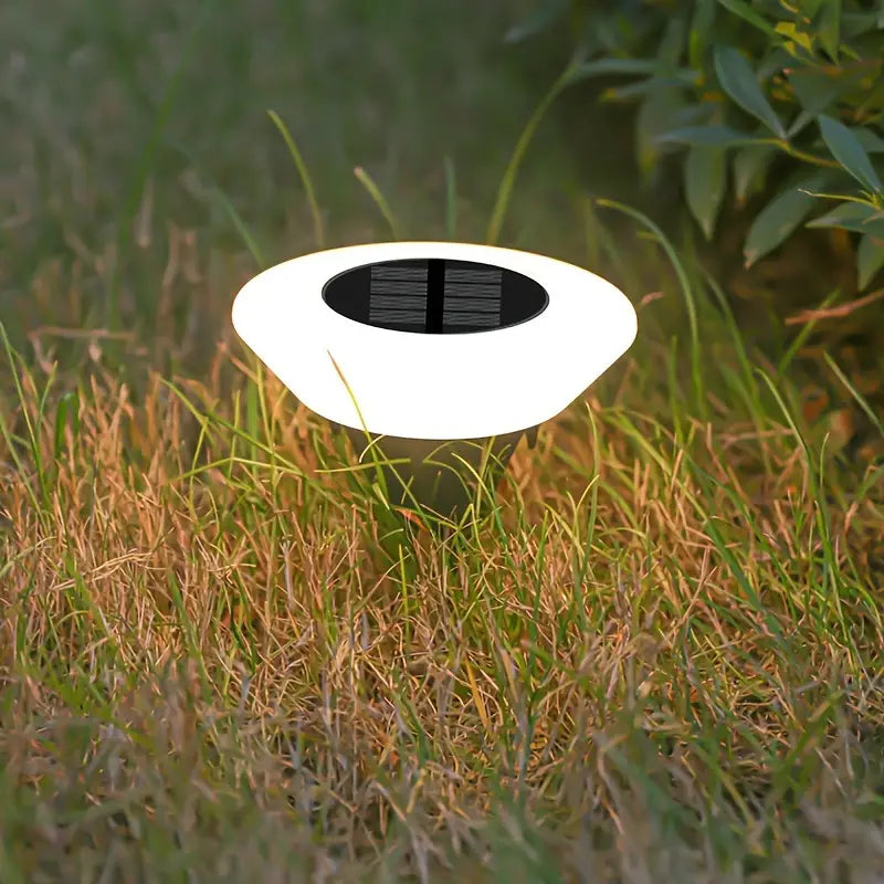 Elegant Solar Garden Lights – Eco-Friendly Outdoor Lighting with Automatic Dusk-to-Dawn Functionality 0
