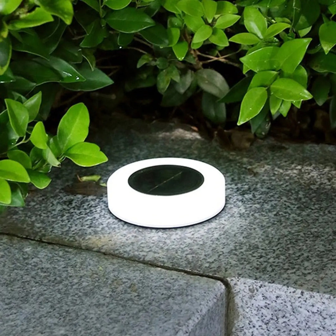 Elegant Solar Garden Lights – Eco-Friendly Outdoor Lighting with Automatic Dusk-to-Dawn Functionality 1