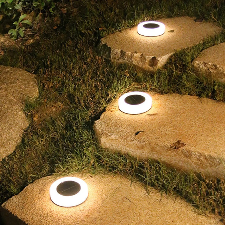Elegant Solar Garden Lights – Eco-Friendly Outdoor Lighting with Automatic Dusk-to-Dawn Functionality 4