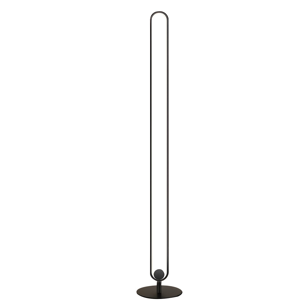Modern Minimalist LED Floor Lamp with Oval Shade – Black Metal Standing Lamp 4