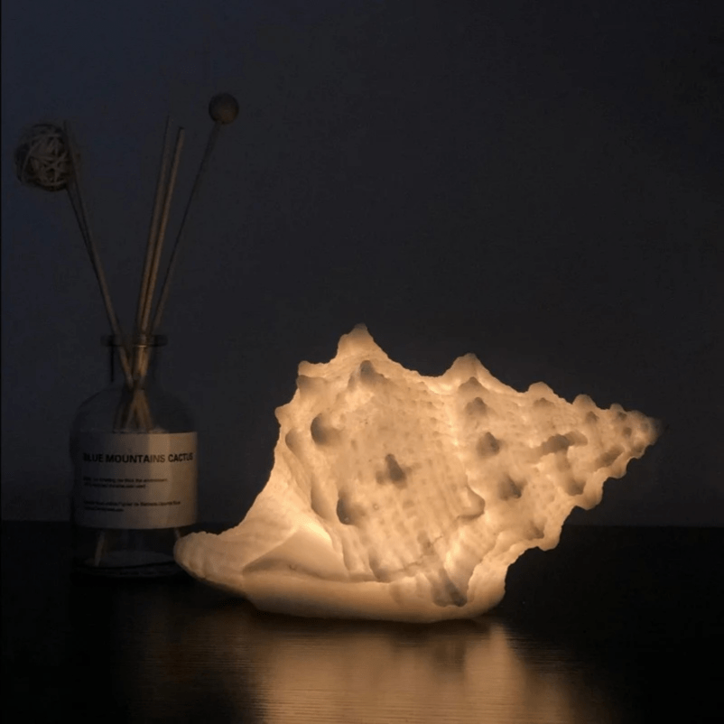 Portable Coastal Seashell Night Light – Soft Warm White Glow for Relaxing Ambiance 0