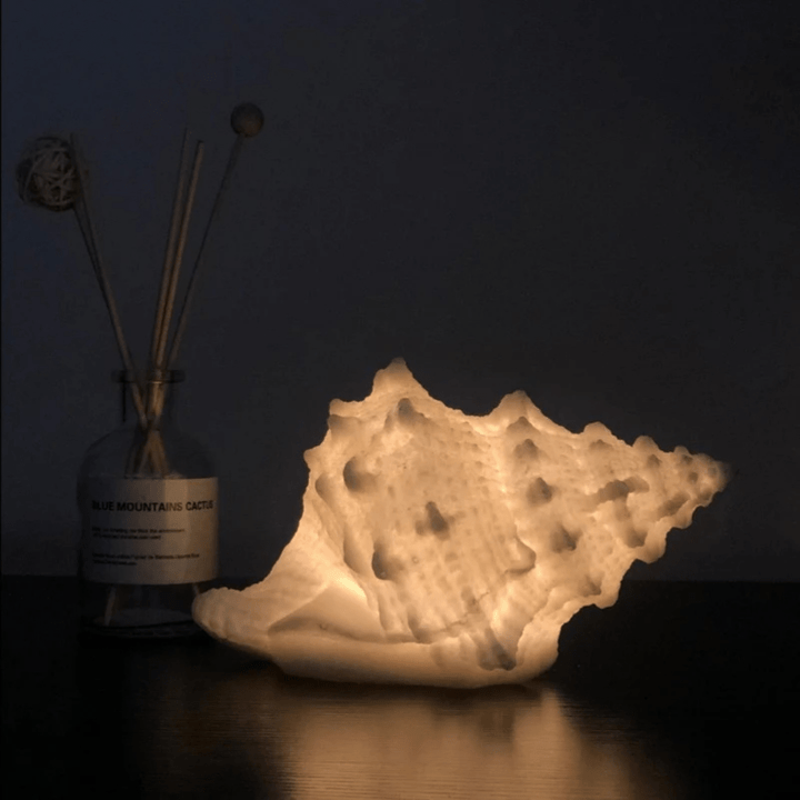 Portable Coastal Seashell Night Light – Soft Warm White Glow for Relaxing Ambiance 0