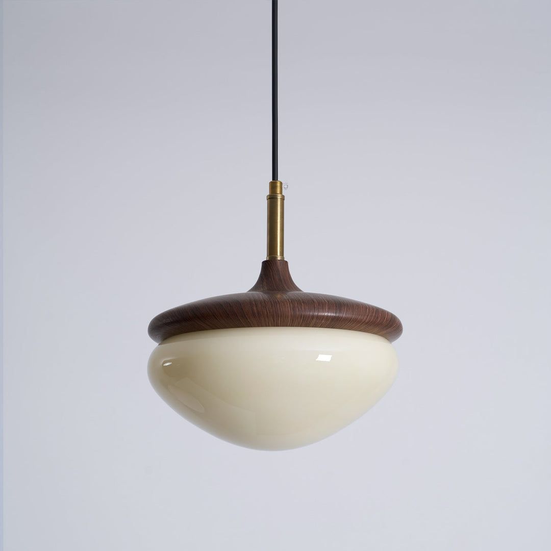 Vintage Glass Pendant Lamp with Integrated LED – Elegant Metal Design for Kitchen Pendant Lighting and Home Decor 0