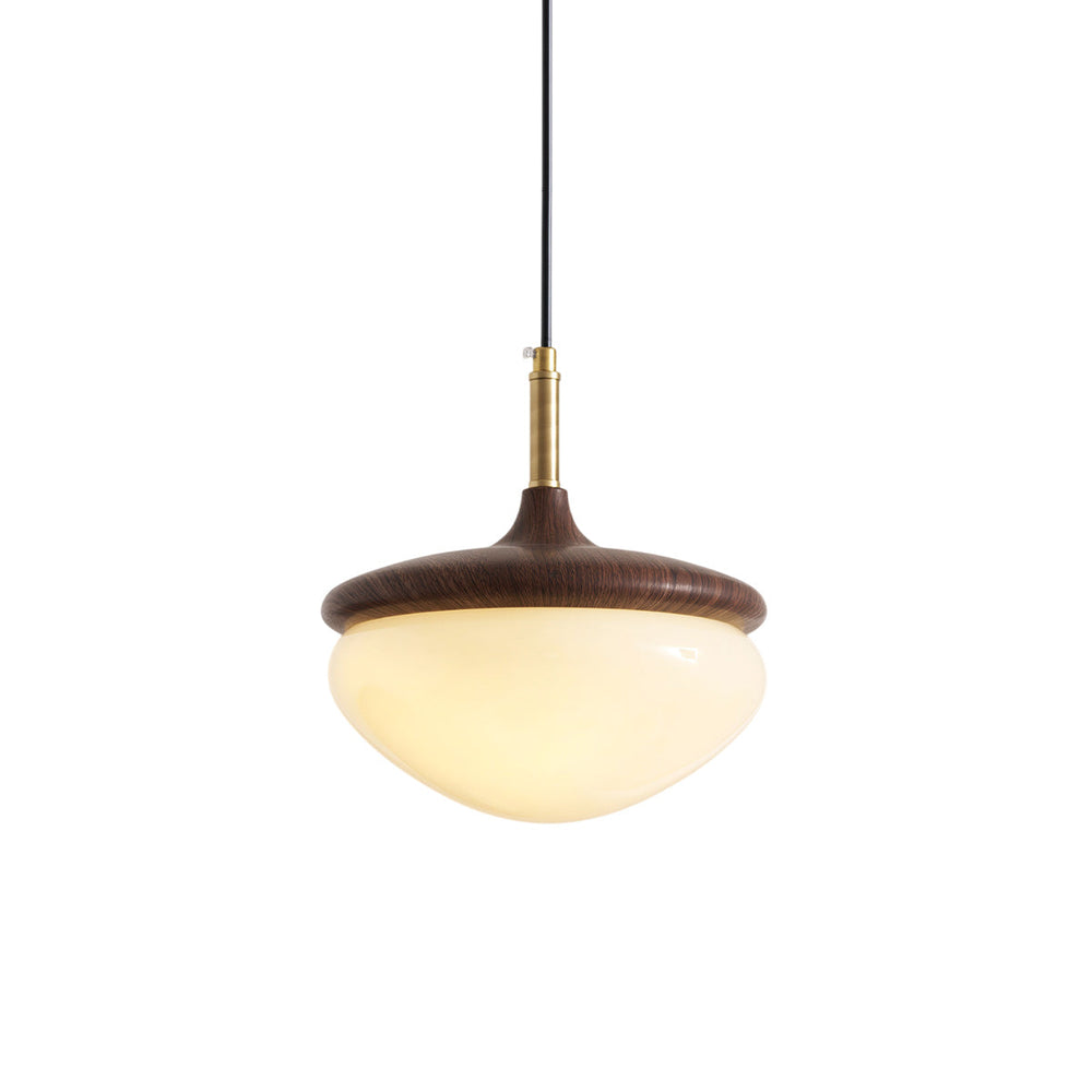 Vintage Glass Pendant Lamp with Integrated LED – Elegant Metal Design for Kitchen Pendant Lighting and Home Decor 1